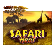 Joker123 : Safari Heat - SPACEMANSLOT88
