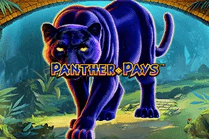 Playtech : Panther Pays - SPACEMANSLOT88