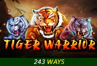 Spadegaming : Tiger Warrior - SPACEMANSLOT88