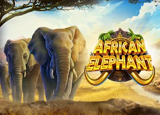 Pragmatic : African Elephant - SPACEMANSLOT88